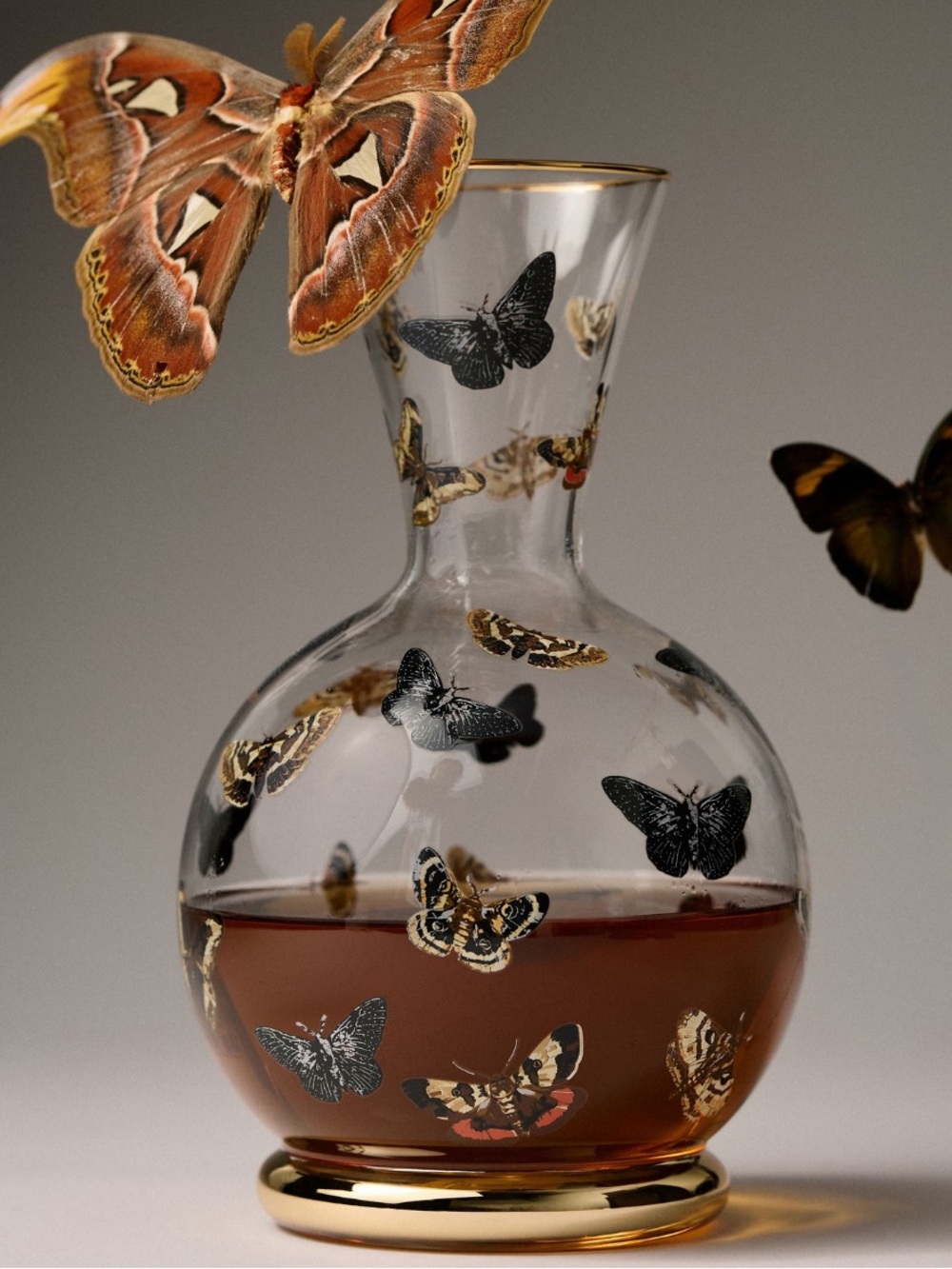 Catherine Martin Midnight Creatures Decaled Moth Decanter from Anthropologie.
